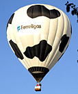 Ferrellgas